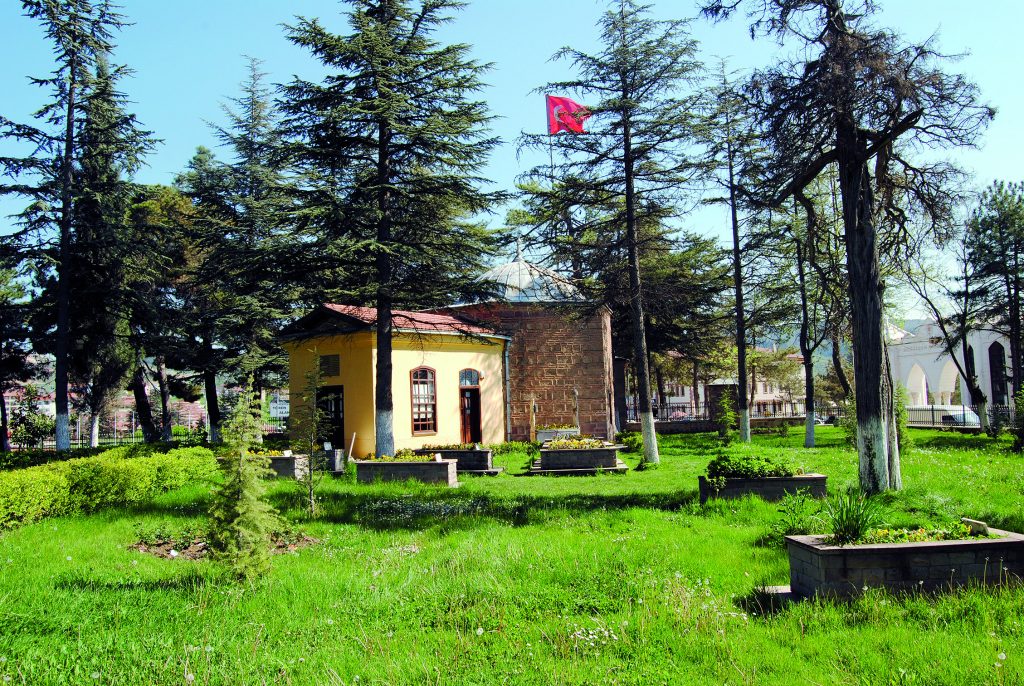 söğüt