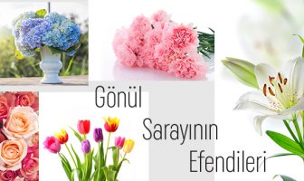 Gönül Sarayının Efendileri