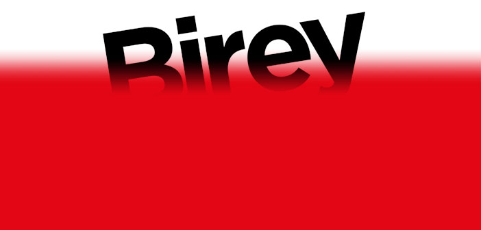 Birey